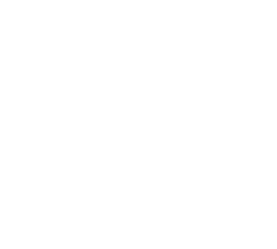 The Studio Salcombe light logo